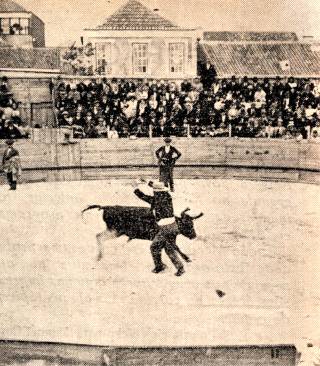 Numa das desaparecidas praas do Rossio, o velho bandarilheiro Antnio da Costa, que muito se distinguira anos atrs, coloca um par de bandarilhas.