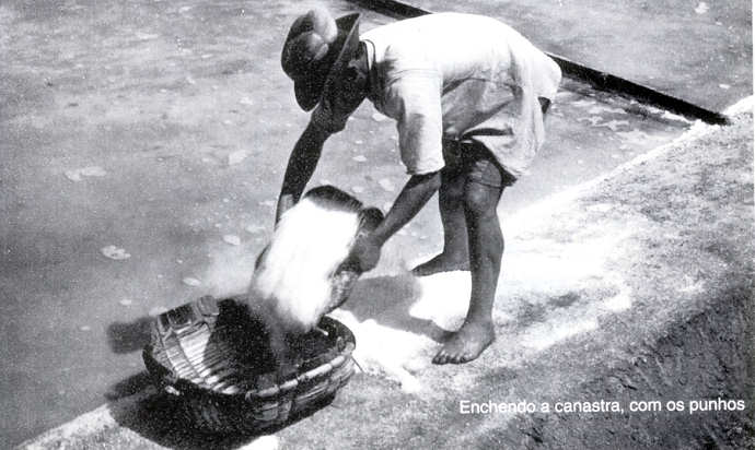 Fotografia de Joo Salgueiro.