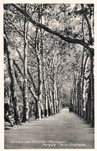 S/N - Caldas da Rainha-Portugal Parque Rua Andrade - Editor Fernando Daniel de Sousa - Editado em 1927 - Dimenses: 14X9 cm. - Col. Miguel Chaby