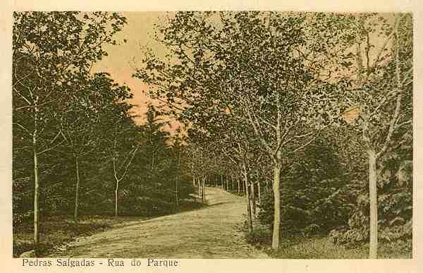 S/N - Pedras Salgadas - Rua do Parque - Sem indicao do editor - S/D - Dimenses: 13,9x9 cm. - Col. Aurlio Dinis Marta.