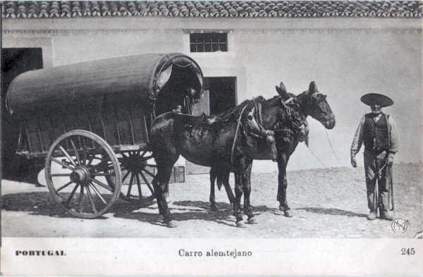 N 245 - Carro alentejano - Editor Martins & Silva, Pra Lus de Cames, 35, Lisboa. - Dim. 140x89 mm - Col. A. Monge da Silva. (adquirido em 1909)