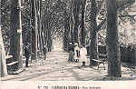 N. 770 - CALDAS DA RAINHA-Rua Andrade - Editor Alberto Malva (Editado em 1908) - Dimenses: 14x9 cm. - Col. Miguel Chaby