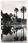 N. 5 - Portugal Caldas da Rainha Lago no Parque Rainha D. Leonor Rainha D.Leonor - Editor Passaporte Loty (Editado em 1951) - Dimenses: 9x14 cm. - Col. Miguel Chaby