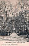 N. 20 - Portugal Caldas da Rainha Rua Andrade - Editor Dias e Paramos (Editado em 1906) - Dimenses: 9x14 cm. - Col. Miguel Chaby