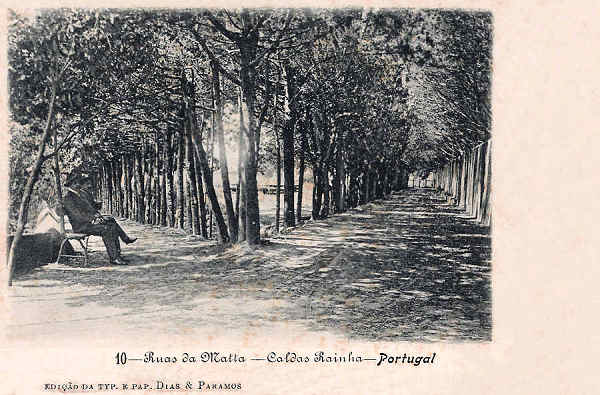 N. 10 - Portugal Caldas da Rainha Ruas da Matta - Editor Dias e Paramos (Editado em 1906) - Dimenses: 9x14 cm. - Col. Miguel Chaby