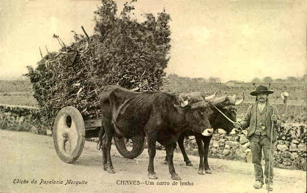 S/N - Chaves: Um carro de lenha - Edio da Papelaria Mesquita - S/D - Dimenses: 13,6x8,5 cm. - Col. Aurlio Dinis Marta. [Union Postale Universelle]