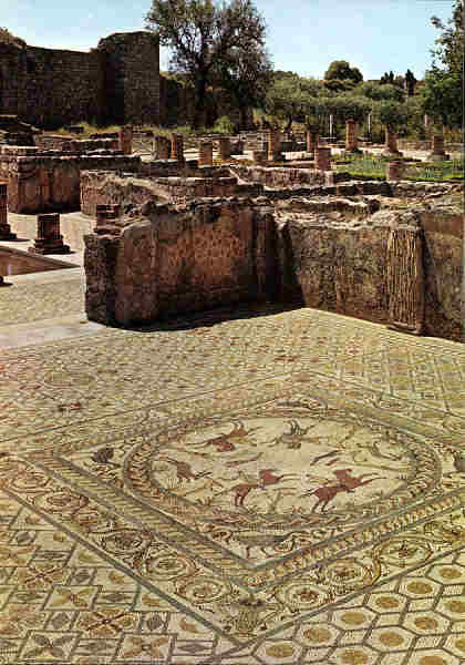 N 10 - Conmbriga (Portugal). Casa Extramuros. Mosaico da caada ao veado - Ed. do Museu Monogrfico de Conmbriga - Foto LIFER, Porto - SD - Dim. 14,9x10,4 cm. - Col. G. Maia