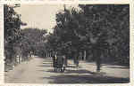 SN - AVENIDA DO PARQUE - CURIA - Ed. da Soc. das Aguas da Curia - Dim. 13,5x8,8 - Circ. 1947 - Col. A. 