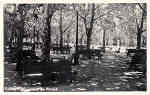 SN - CURIA - Um aspecto do Parque - Editor no referenciado (Fotogrfico) - Dim. 15,8x9,0cm - Circul. 1-1947 - Col. A. Simes (184).