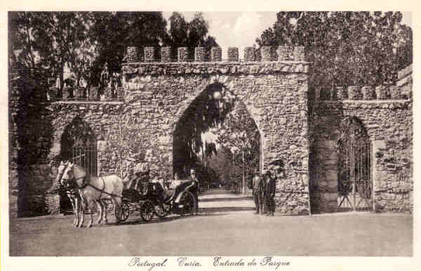 SN - Portugal. Curia. Entrada do Parque - Ed. Bazar Soares - Porto - Dim. 14,0x9,0cm - Col. A. Simes(127).