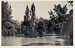 SN - CURIA - Portugal - Vista do Lago - Ed Junta de Turismo, Curia -  13,9x9,0 cm - Circ. 9/1948 - Col. A. Simes (185-1).