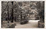 SN - CURIA - Portugal - Um trecho do Parque - Ed. Junta Turismo Curia - SD - Dim. 13,9x9,0 cm - Col. A. Simes (197).