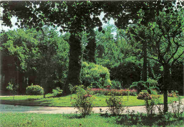 N 5 - CURIA - Portugal - Jardins do Parque - Ed. da Junta de Turismo da Curia - 14,9,x10,4 cm. - Col. A Simes 1097.