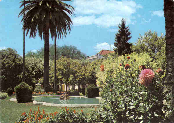 N 8 - CURIA - Portugal - Lago dos jardins do casino - Ed. da Junta de Turismo da Curia - 14,7x10,4 cm. - Circ. 9/1967 - Col. A. Simes 1109.