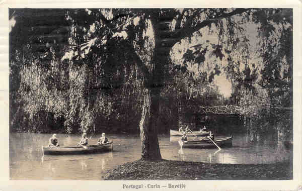 SN - Portugal. Curia . Buvette - Ed. do Bazar Soares - Porto - ( foto Soares Leito, Curia ) - Dim. 13,8x8,7 cm - -Circul. 1929 - Col. A. Simes (164 - 2) (Fotografico).