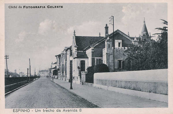 SN - Portugal. Espinho - Um trecho da Avenida 8 - Editor Liga dos Interesses Gerais de Espinho - SD - Dim. 14x9 cm - Col. Miguel Chaby