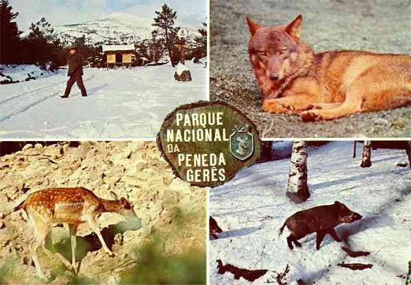 N. 426 - (Portugal) Parque Nacional da Peneda-Gers. Alguns aspectos do Parque e da sua fauna - Edio Lusocolor, Arcos de Valdevez - S/D - Dimenses: 14,9x10,4 cm. - Col. Manuel Bia.