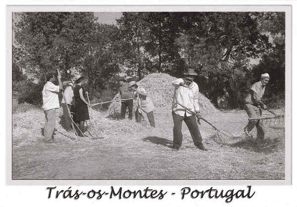 N. 40531 - Trs-os-Montes - Portugal - Usos e Costumes Regionais - Nunes de Almeida.Editores, AP 83 2711- 999 Sintra postaisdeportugal@portugalmail.pt Arquivo:Foto Fernandes*Macedo de Cavaleiros Fotografia:Cortesia da Junta de Freguesia de Morais-Macedo de Cavaleiros - SD - Dim. 15x10,5 cm - Col. Ftima Bia (2011)