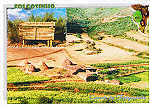 070- N. 200164 - Folgosinho. Serra da Estrela  Casais de Folgosinho - Ed. EDIG Telm. 966394951 OLIVEIRA DO HOSPITAL - SD - Dim. 14,8x10,4 cm - Col. Ftima Bia (2010)