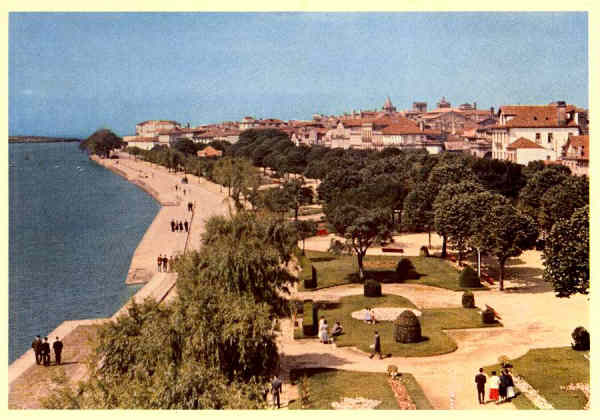 N. 19 - VIANA DO CASTELO: Trecho da Avenida Marginal - Edies Lusocolor, Visado nos termos do decreto... - S/D - Dimenses: 15x10,5 cm. - Col. Ftima Bia (1959).