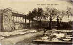 SN - Viana do Castelo - Ponte Metalica - Editor no indicado - SD - Dim. 14x8,6 cm - Col. M. Soares Lopes