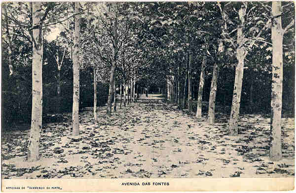 SN - VIDAGO-AVENIDA DAS FONTES - Edio da Empreza das Aguas de Vidago, Limitada-SDE EM LISBOA: Avenida da Liberdade, 122-126-Tel.1226-DELEGAO NO PORTO: Rua Candido dos Reis, 93-95 - SD -  Dim. 9x14 cm. - Impresso nas Officinas do "Commercio do Porto" - Col. Jaime da Silva (Circulado em 1923).