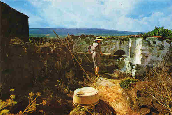 N 1579 - AORES  ILHA DO PICO  COZENDO BOLO DE MILHO - Ed. CMER, Trav. do Alecrim, 1 - Tel. 328775 - Lisboa - Portugal - S/D - Dim. 15x10,4 cm. - Col. Manuel Bia (1981).