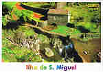 NRD. 0015 - PARQUE NATURAL DO NORDESTE Ribeira do Caldeira Moínho de Água  Ilha de S. Miguel Açores - Ed. GRAFIPOST - Editores e Artes Gráficas,Lda. - TEL. 214 342 080 - SD - Dim. 15x10,5 cm. - Col. Fátima Manuela Bóia (2010).