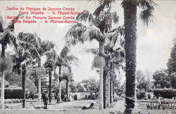 Nº 31 - SÃO MIGUEL. Ponta Delgada. Jardim do Marquez Jacome Correa - Edição Café Tavares - Dim. 13,8x8,8 cm - Col. A. Monge da Silva (cerca de 1901)