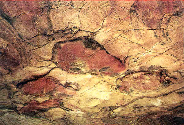 N 1156 - Cuevas de Altamira. Conjunto de Pinturas - Foto J. Adolfo,Torrelavega - Dim. 15,1x10,6 cm - Col. Amlcar Monge da Silva