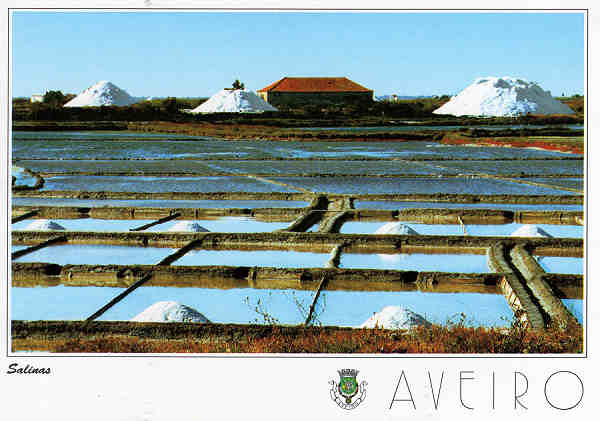 N. 19 - AVEIRO Salinas - Ed. Artes Grficas - SD - Dim. 15x10,5cm - Col. Mrio Silva.