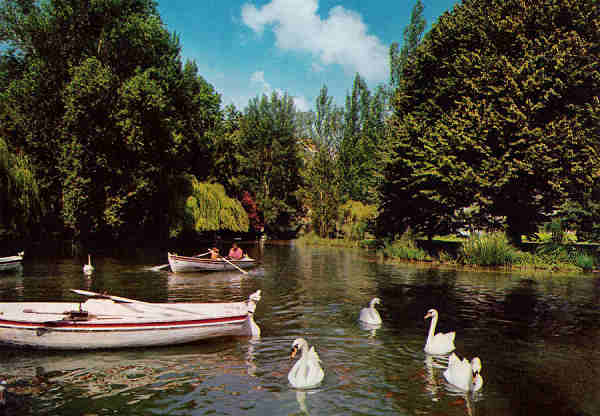 SN - Portugal - Caldas da Rainha - Lago do Parque - Editor RAN - Dcada de 1970 - Dim. 15x10 cm. - Col. M. Chaby