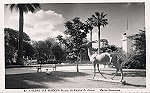 N 52 - Portugal. Caldas da Rainha - Parque da Rainha D. Leonor. Motivo decorativo - Editor Passaporte Loty - Editado em 1951 - 9x14 cm. - Col. M. Chaby