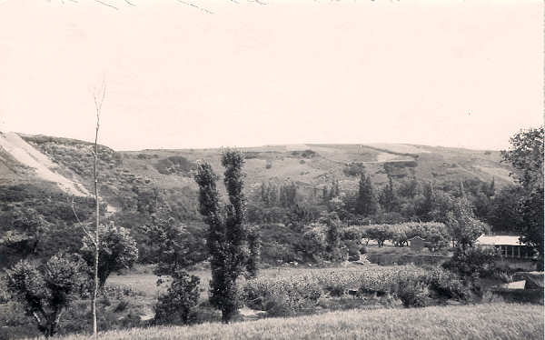 SN - Portugal. Caldas da Rainha - Foz do Arelho 4 - Edio annima - Dim. 9x14 cm - Col. Jos Saloio