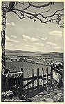 SN - Caminha - Ed. Havanesa Caminhense - Foto Beleza-Porto (Made in Germany) - Dimenses: 14x9 cm - (circulado 20-10-1941) 