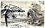 N 11 - CARAMULO. Uma vista da neve - Edio Foto Freitas - SD - Circulado em 1962 - Dim. 14x9 cm - Col. A. Monge da Silva