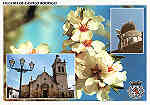 N. 7 - Flor da Amendoeira. Igreja Matriz de Figueira - Ed. C.M. Figueira Castelo Rodrigo - Dim. 15x10,5 cm - Col. Mrio Silva