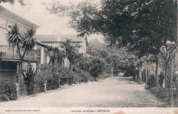 SN - Portugal. Granja (Vila Nova de Gaia). Avenida principal - Editor Henrique Jos Leite - Dim. 9x14 cm. - Col. M. Chaby