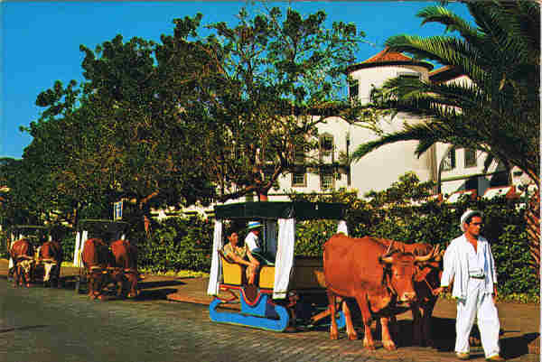 N. 79 - MADEIRA - FUNCHAL - PORTUGAL Transporte Tpico - Ed. Centro de Caridade "N. Sr. do Perptuo Socorro"-PORTO Fotografia gentilmente cedida pela TAP - SD - Dim. 14,8x10,3 cm. - Col. Ftima e Manuel Bia (1975).