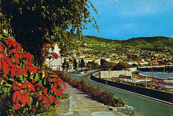 MD 117 - FUNCHAL (Madeira) Vista Leste - Ed. Hans Huber KG Agente no Funchal: F. Ribeiro, Rua Nova de S. Pedro, 27, telef. 23930 - SD - Dim. 14,8x10,4 cm. - Col. Ftima e Manuel Bia (1975).