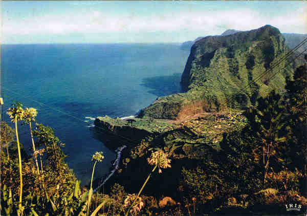 MD. 311 - PORTO DA CRUZ (Madeira) Vista da Penha d'guia - Ed. Francisco Ribeiro - Rua Nova de S. Pedro, 27 telef. 23930 FUNCHAL, MADEIRA - SD - Dim. 14,8x10,4 cm. - Col. Manuel e Ftima Bia (1975).