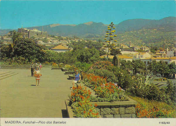 N 1163-40 - Madeira. Funchal. Pico dos Barcelos - Rock Photographic Service - SD - Dim. 15x10,6 cm - Col. Joo Ponte.jpg