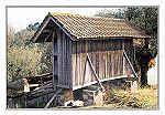 S/N -  OURM - PORTUGAL Ruralidades - Ed. RTL/F - 2003 - Fotografia: Quercus/Ourm - REGIO DE TURISMO - Leiria-Ftima www.rtleiriafatima.pt . - Dim. 10,5x15 cm. - Col. Manuel Bia (2009)