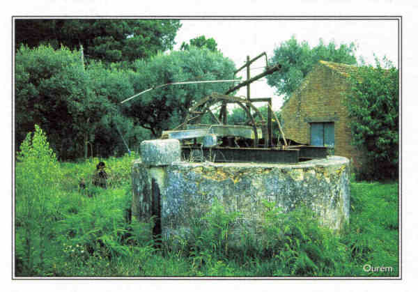 S/N -  OURM - PORTUGAL Ruralidades - Ed. RTL/F - 2003 - Fotografia: Quercus/Ourm - REGIO DE TURISMO - Leiria-Ftima www.rtleiriafatima.pt . - Dim. 10,5x15 cm. - Col. Manuel Bia (2009)