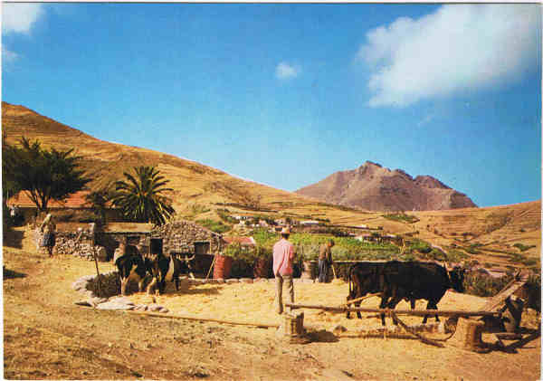 N 653 - PORTO SANTO  Debulha de cereais - Ed. BERNARDINO V.G. CARVO APARTAMENTOS PIORNAIS-BLOCO 9-3.A - FUNCHAL LITO OF. ARTISTAS REUNIDOS-PORTO - SD - Dim. 14,9x10,4 cm - Col. Manuel Bia (1988).