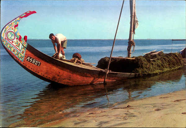 SN - TORREIRA - PORTUGAL - Barco Moliceiro - Ed. da POUSADA DA RIA, Torreira Murtosa, Foto Plato Mendes - SD - Dim. 150x104 mm - Col. Graa Maia