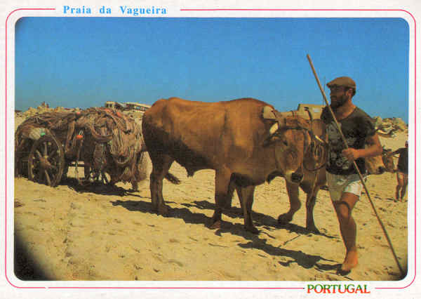 N. 44 - PRAIA DA VAGUEIRA Transporte das redes tradicionais - Ed. ncora - SD - Dim. 15x10,5cm. - Col. Mrio Silva.