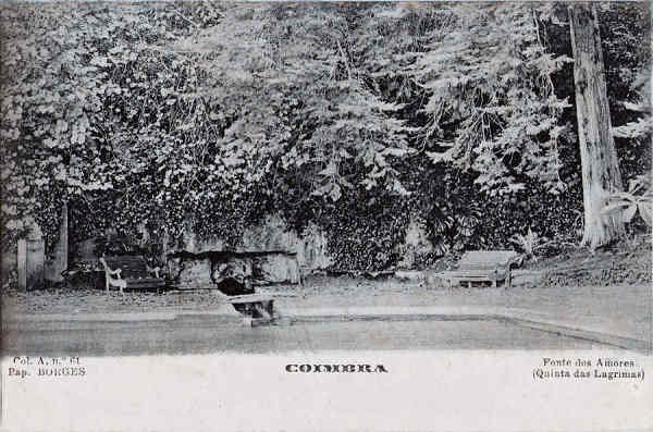 Col. A, 61 - Fonte dos Amores (Quinta das Lgrimas) - Pap. Borges, Coimbra - Dim. 138x91 mm - Col. A. Monge da Silva (cerca de 1905)