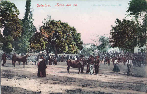 Col. C, 33 - Feira dos 23 - Pap. Borges, Coimbra - Impresso Purguer & Co, Munchen, Photochromiekarte 3449 - Dim. 136x88 mm - Col. A. Monge da Silva (cerca de 1905)