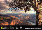 SN - Douro Valley, Portugal - Concurso de Fotografia do Douro 2010 - Manuel Prates - Ed. Postalfree - Dim. 148x105 mm - Col. nio Semedo